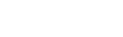 David Roman Art